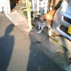 f:id:kokada_jnet:20070219204147j:image f:id:kokada_jnet:20070219204147j:image