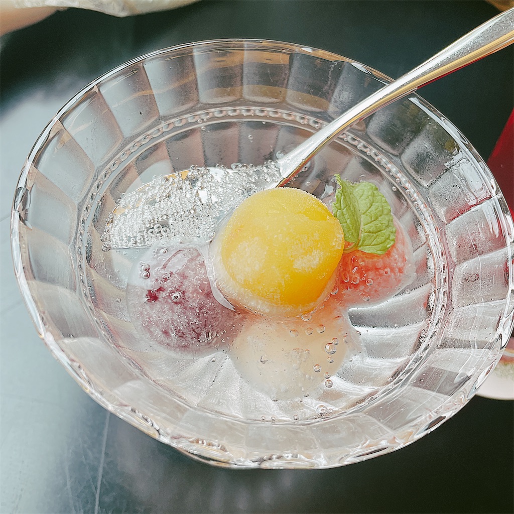 f:id:kokage_libra:20241231144913j:image