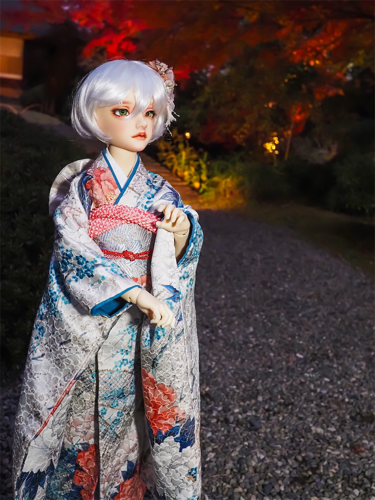 夕暮れの紅葉を背景に、牡丹の振袖を着たつかさくんの立ち姿の写真