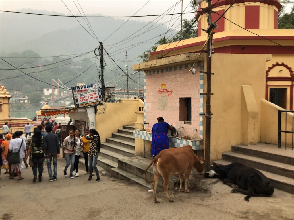f:id:kokan-nikki:20191103225329j:image f:id:kokan-nikki:20191103225329j:image