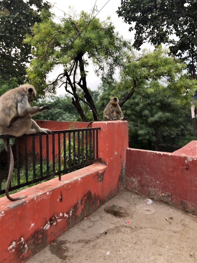f:id:kokan-nikki:20191103230503j:image f:id:kokan-nikki:20191103230503j:image