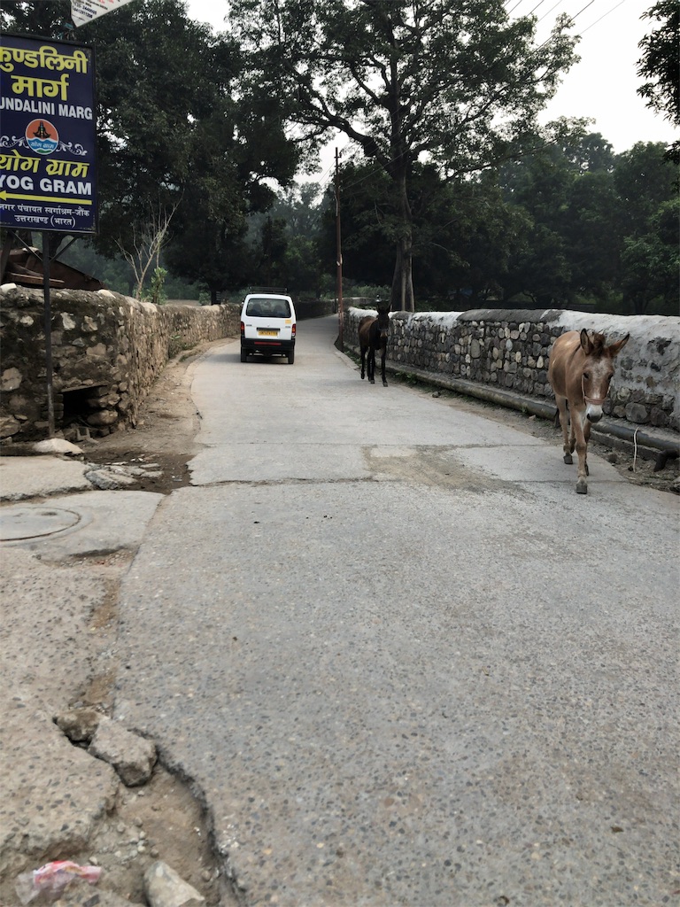 f:id:kokan-nikki:20191103230510j:image f:id:kokan-nikki:20191103230510j:image