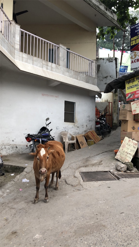 f:id:kokan-nikki:20191103230515j:image f:id:kokan-nikki:20191103230515j:image