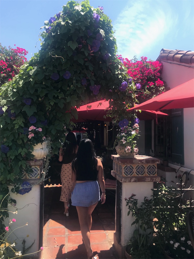 f:id:kokan-nikki:20191111182129j:image f:id:kokan-nikki:20191111182129j:image