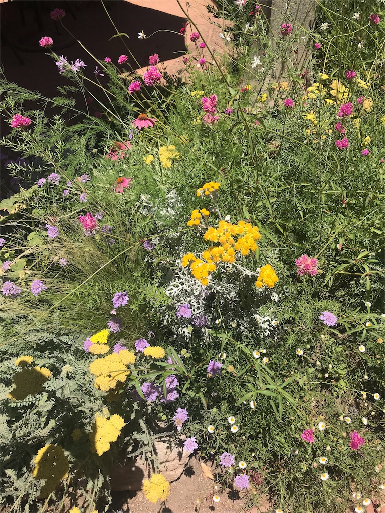 f:id:kokan-nikki:20191111182456j:image f:id:kokan-nikki:20191111182456j:image