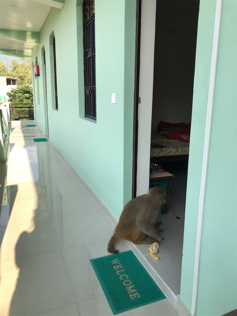 f:id:kokan-nikki:20191119024204j:image f:id:kokan-nikki:20191119024204j:image
