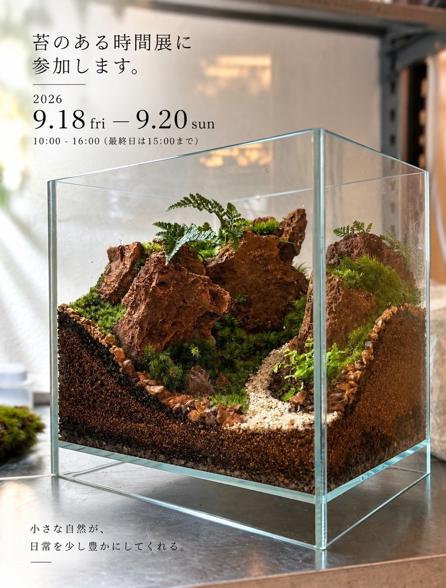 苔のある時間展2026｜尼崎・上坂部西公園で苔テラリウム作品展示とMOSS