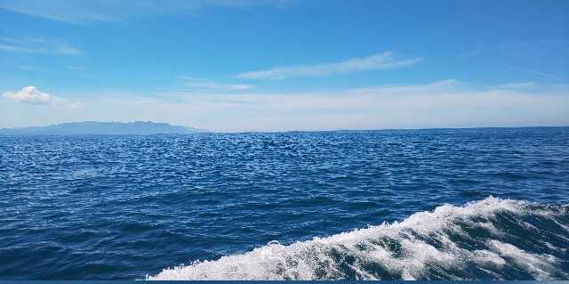 f:id:kokeenn:20190820230853j:image f:id:kokeenn:20190820230853j:image