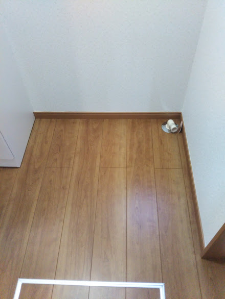 f:id:kokekolife:20180712105759j:plain f:id:kokekolife:20180712105759j:plain