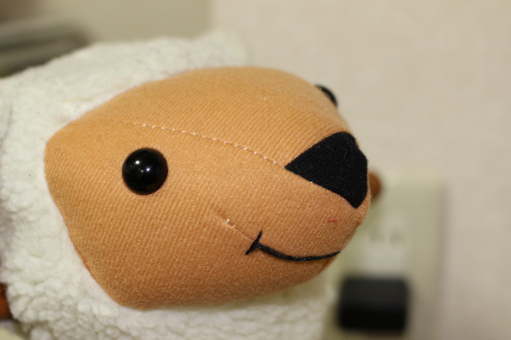 f:id:kokemono:20160624235832j:plain:w300