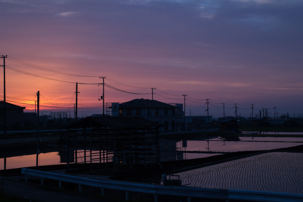 f:id:kokemono:20160630191309j:plain:w300