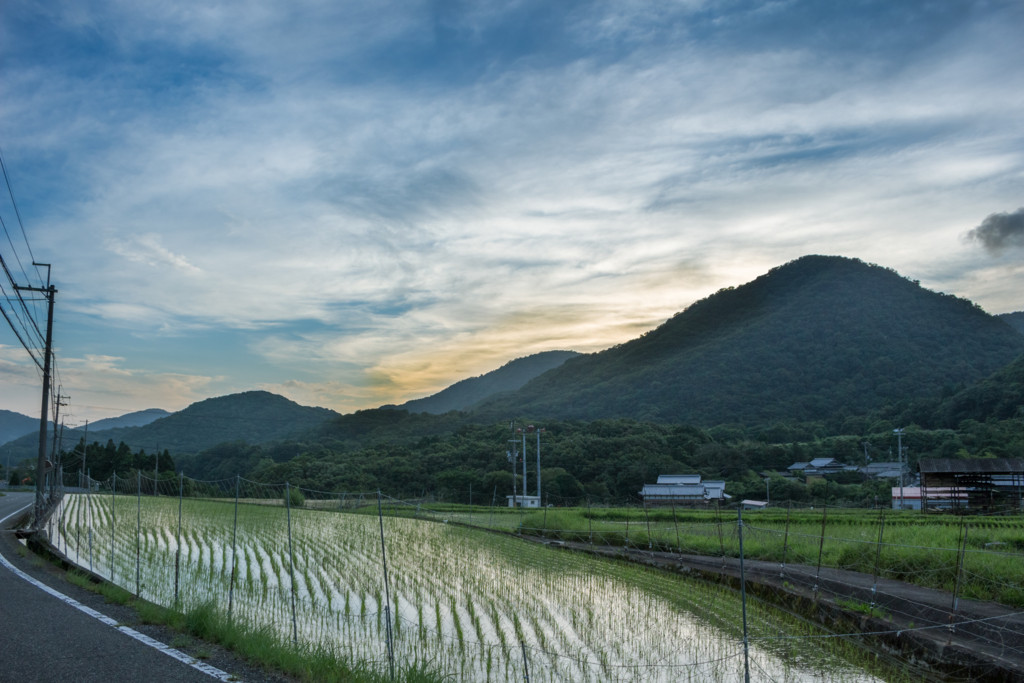 f:id:kokemono:20160703052035j:plain:w300