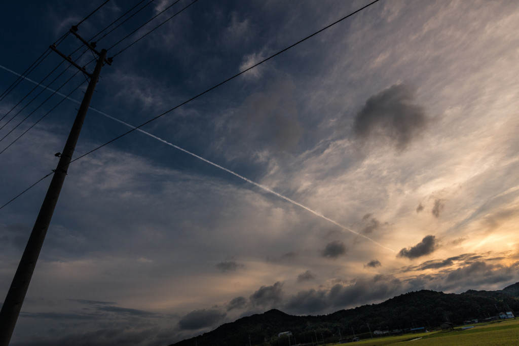 f:id:kokemono:20160924173921j:plain:w300