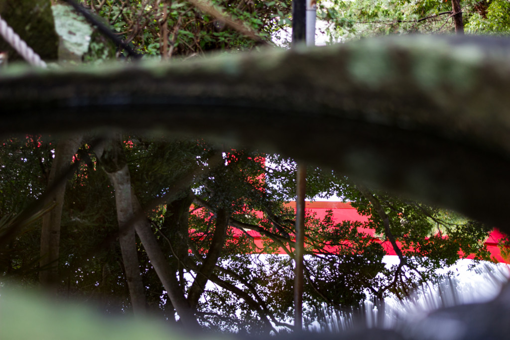 f:id:kokemono:20161023072825j:plain:w300
