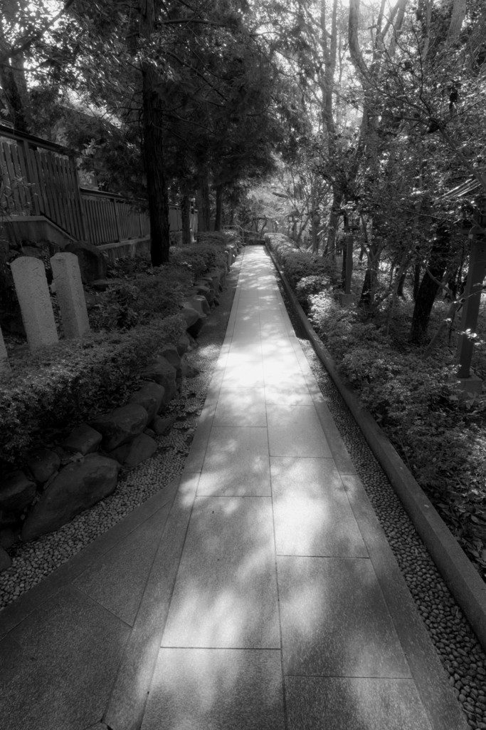 f:id:kokemono:20161205125440j:plain:w300