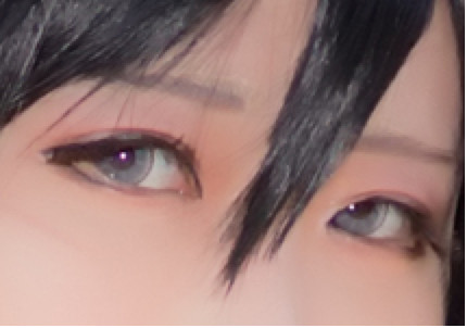 f:id:kokemono:20170523060504j:plain