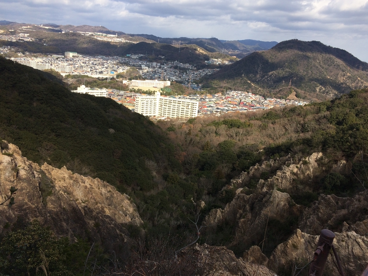 f:id:kokeshiwabuki:20210101130146j:plain