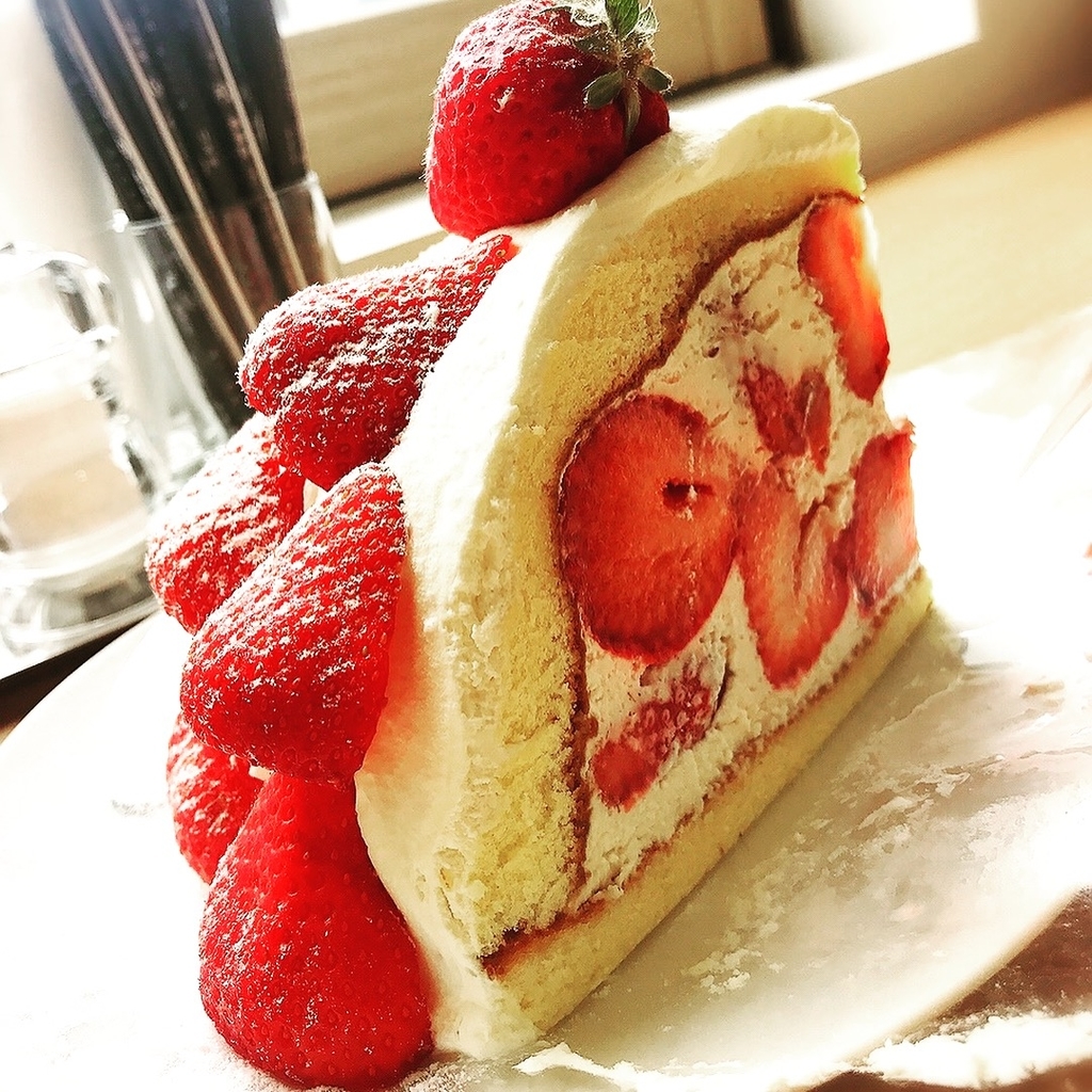 f:id:koki08:20190127003323j:plain