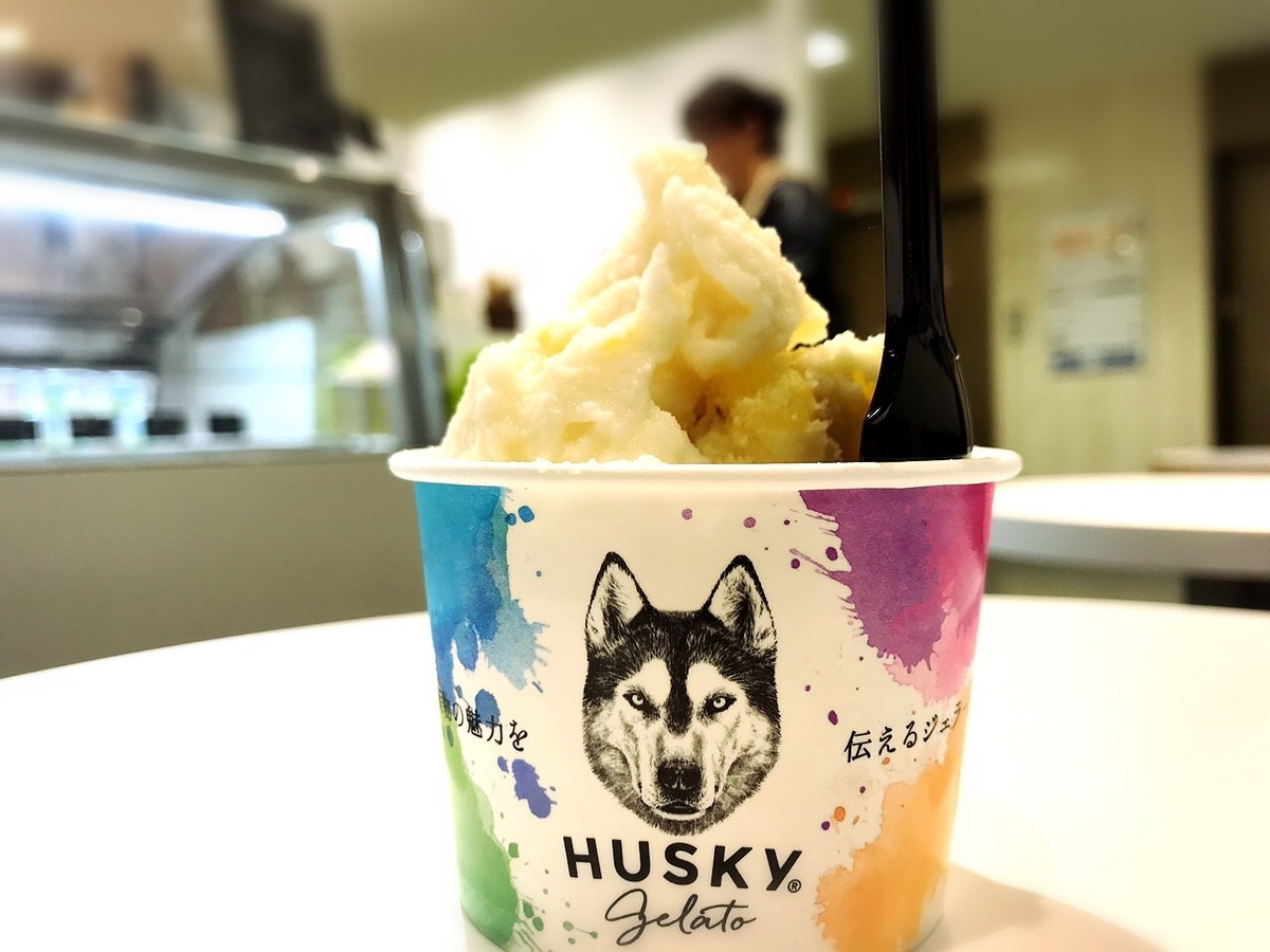f:id:koki08:20190422201139j:plain