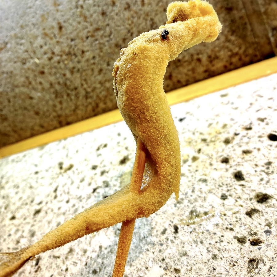 「串処 小林」でいただいた「串揚げ」”コース内（串揚げ）5