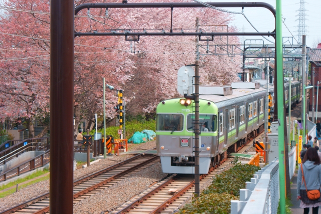 ”井の頭公園の魅力”をさらに引き立てるおすすめグルメスポット11選