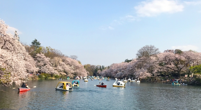 井の頭公園周辺のグルメを楽しむ際に、より快適に過ごすためのポイントや注意点を押さえておきましょう。 