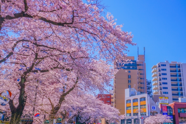 国分寺・西国分寺・国立の名店:食べログ「百名店」に選ばれた珠玉の店舗