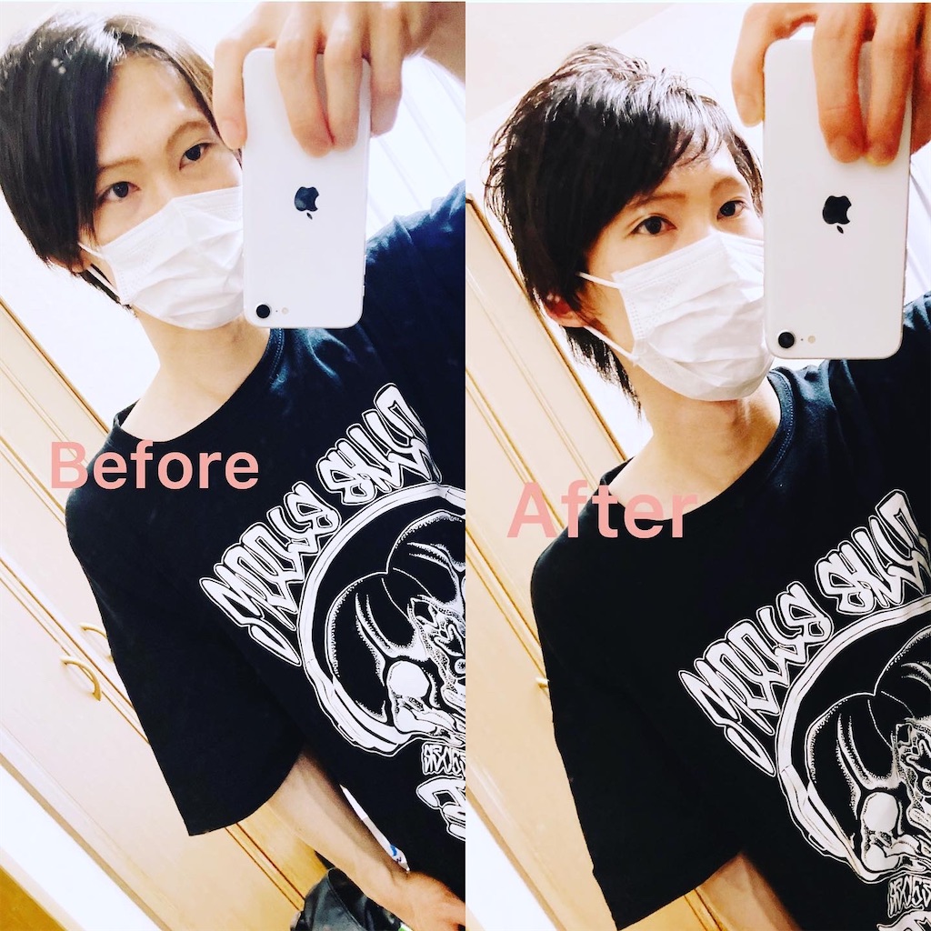 f:id:koki_v7:20200927152559j:image
