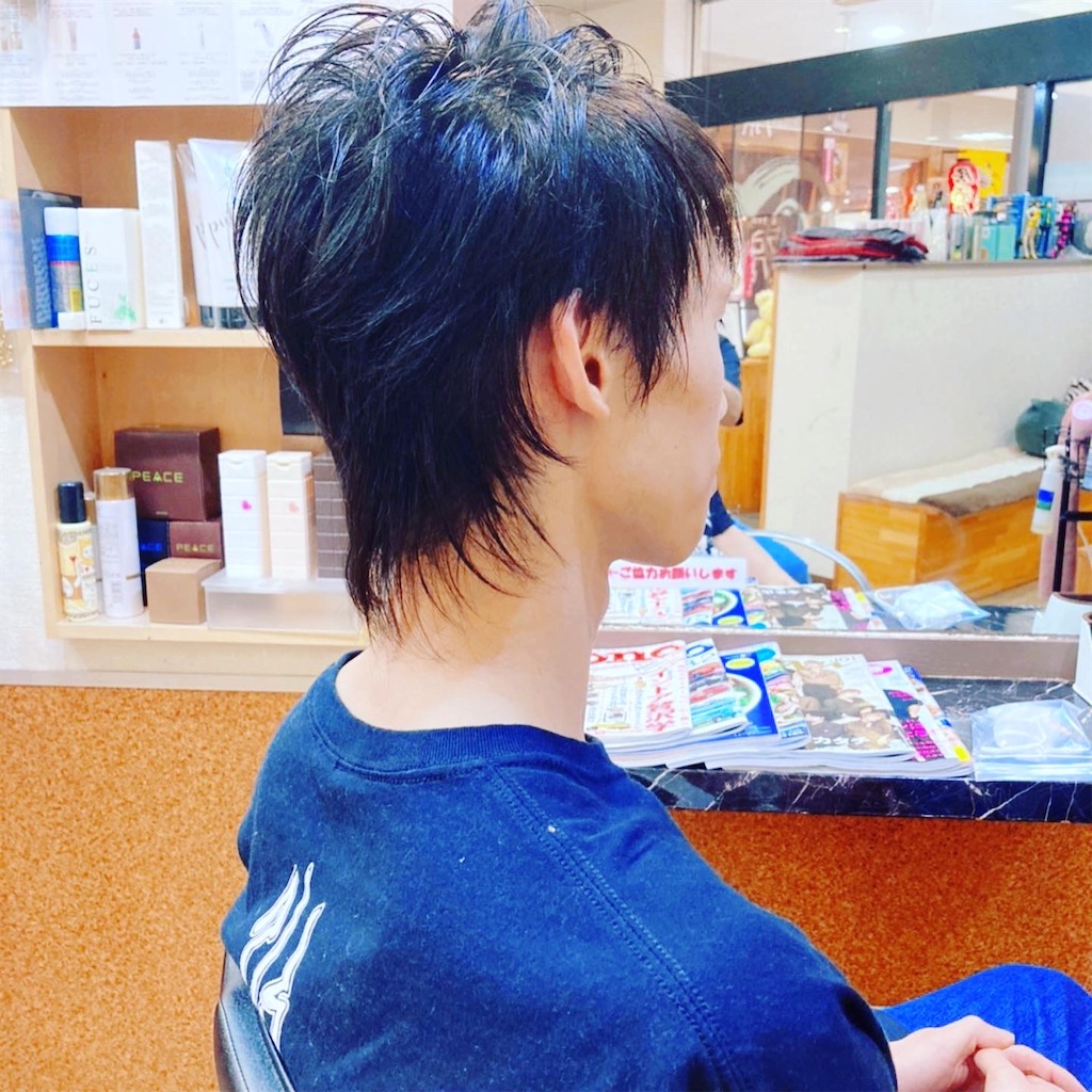 f:id:koki_v7:20200927152622j:image