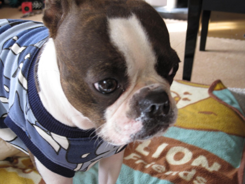 f:id:kokichikawabe:20090206093414j:image