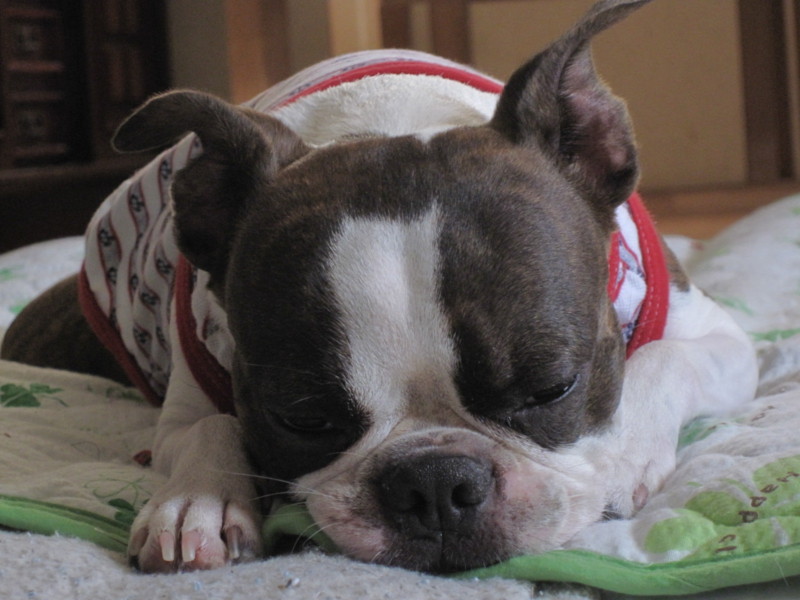 f:id:kokichikawabe:20090908123420j:image