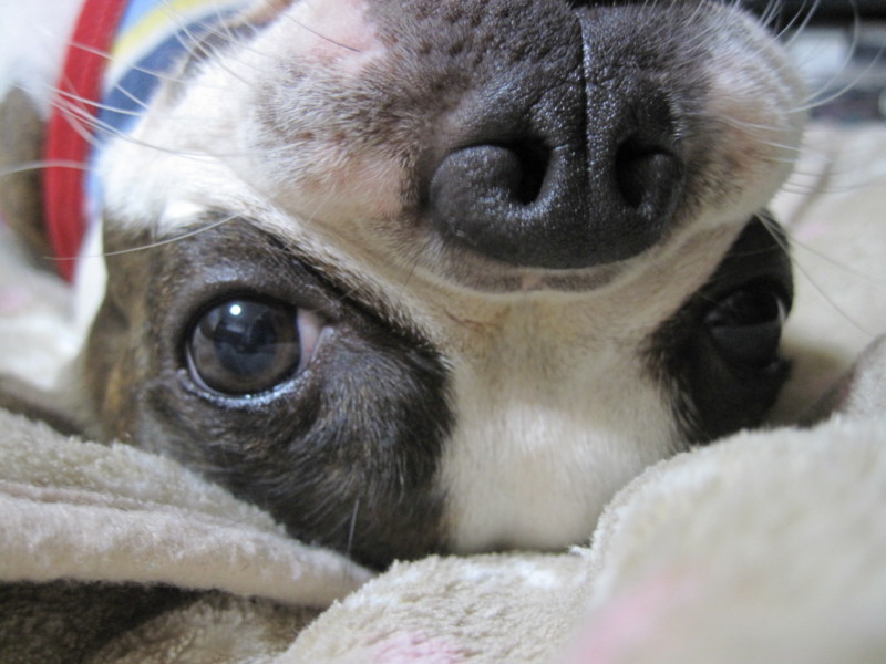 f:id:kokichikawabe:20090915082657j:image