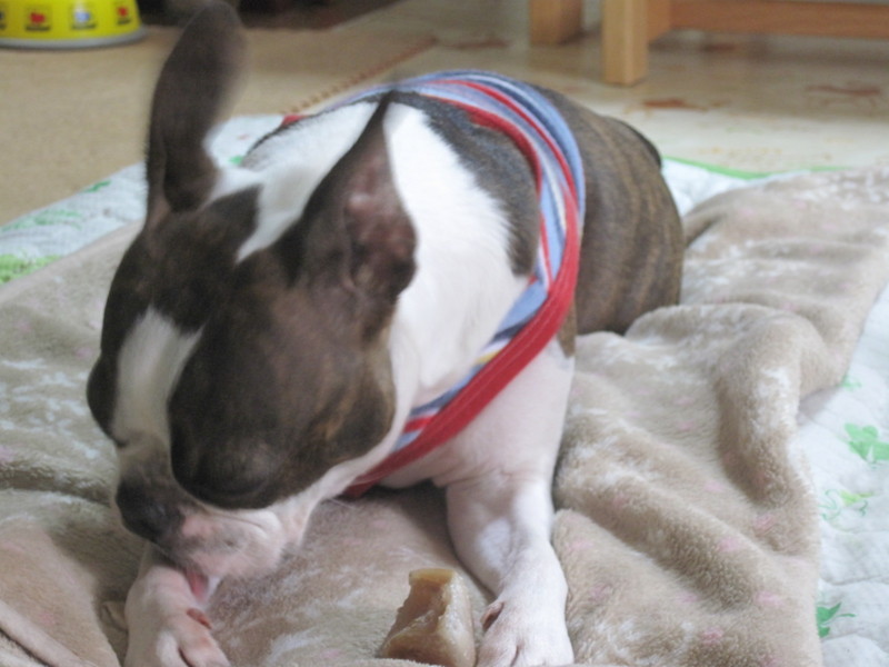 f:id:kokichikawabe:20090915090002j:image