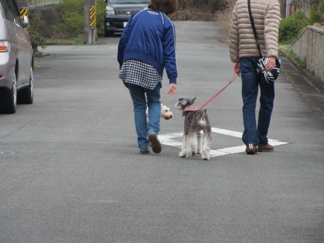 f:id:kokichikawabe:20120318091613j:image