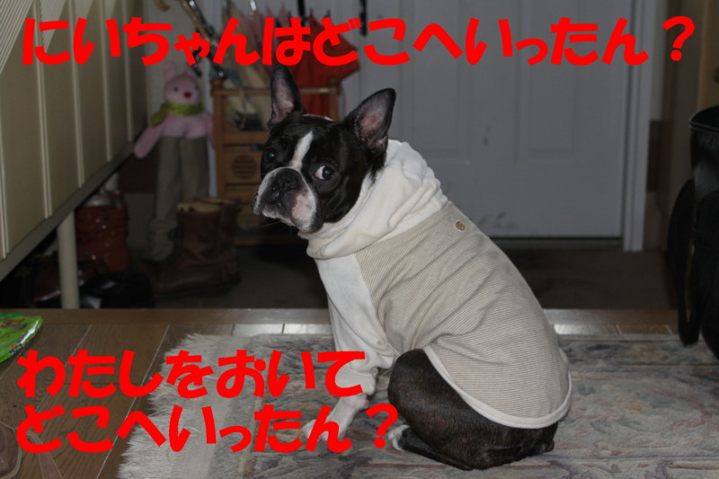 f:id:kokichikawabe:20120318103542j:image