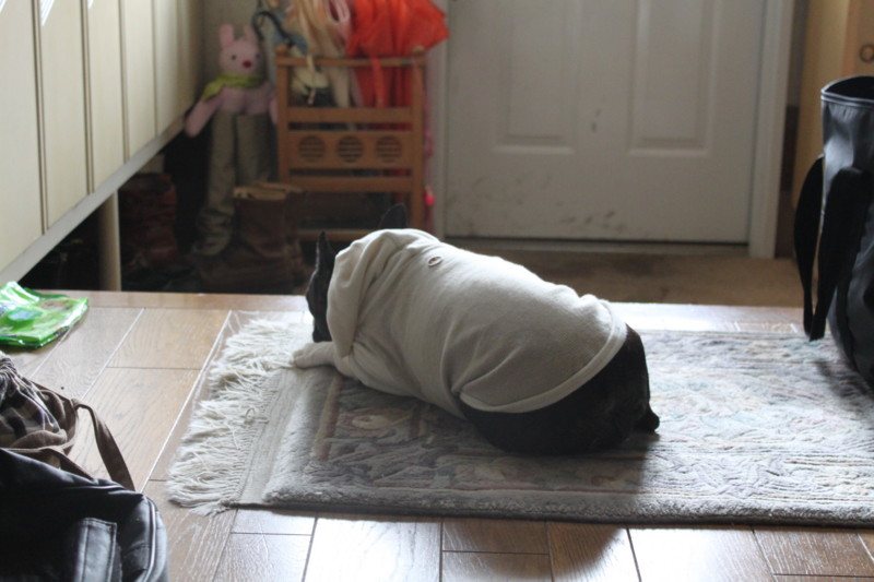 f:id:kokichikawabe:20120318103738j:image