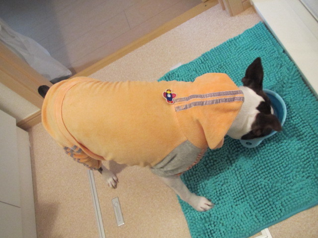 f:id:kokichikawabe:20120318104246j:image