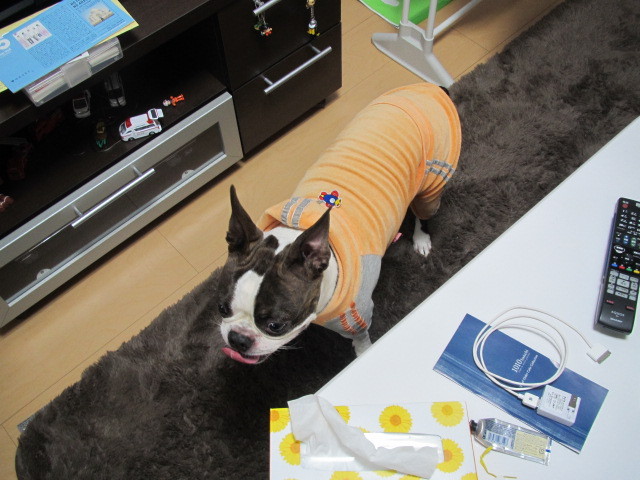 f:id:kokichikawabe:20120318104434j:image