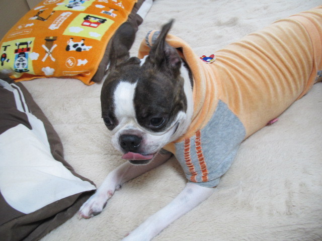 f:id:kokichikawabe:20120318104517j:image