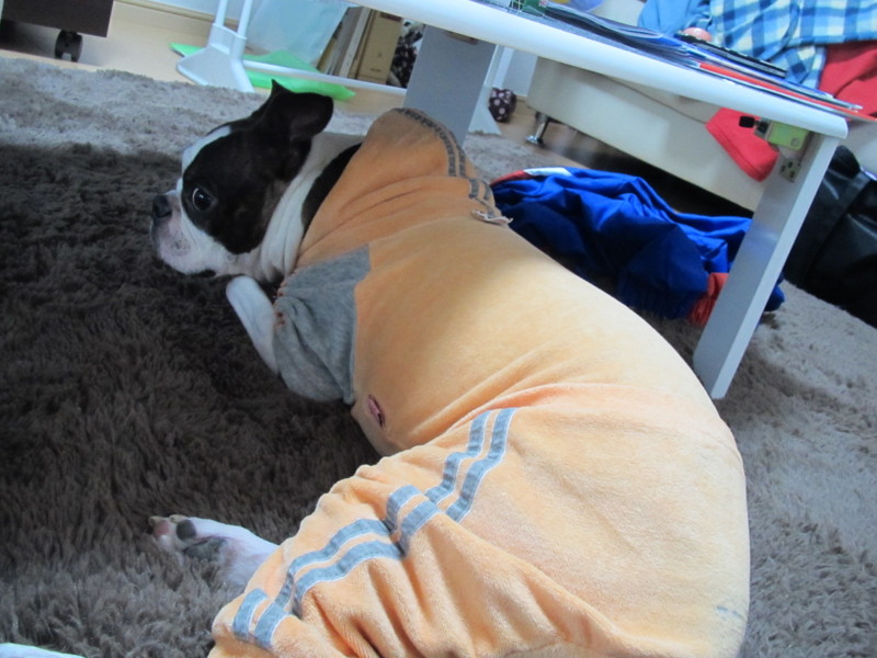 f:id:kokichikawabe:20120318105337j:image