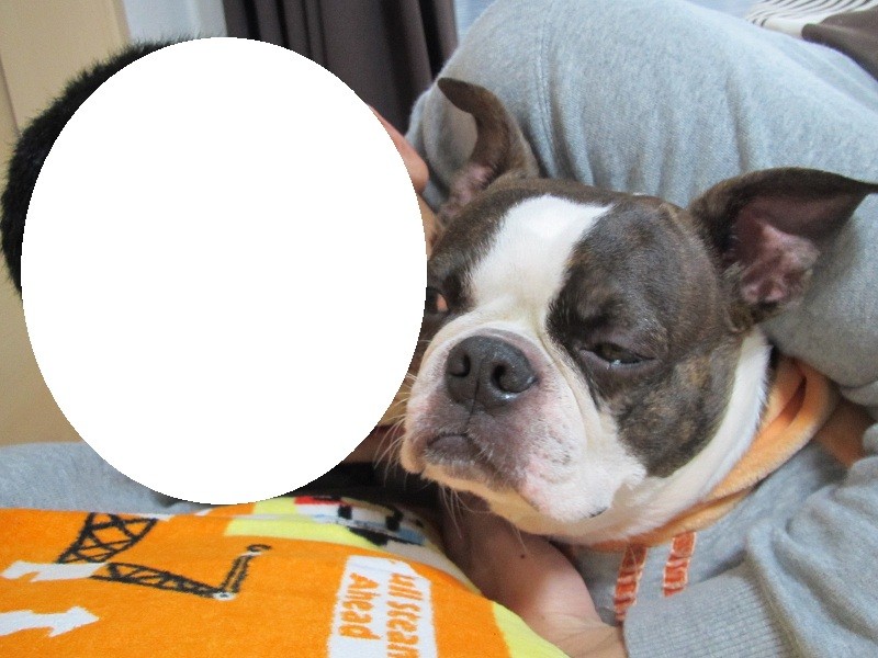 f:id:kokichikawabe:20120318111749j:image