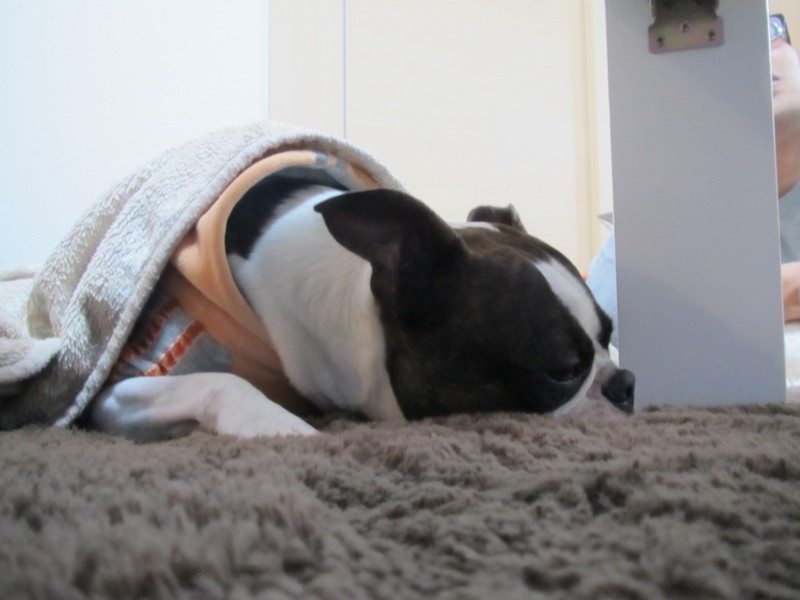 f:id:kokichikawabe:20120318113618j:image