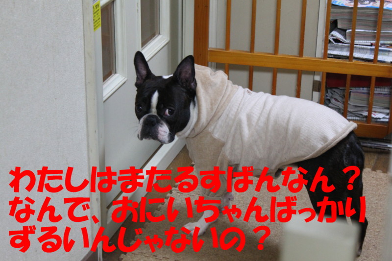 f:id:kokichikawabe:20120321185752j:image