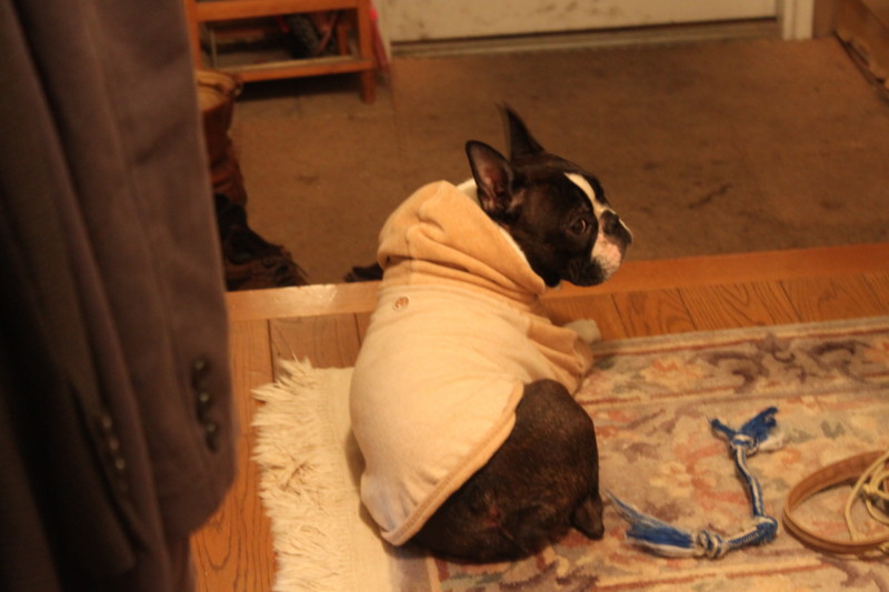 f:id:kokichikawabe:20120321192110j:image