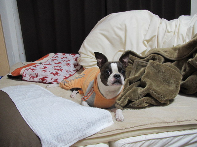 f:id:kokichikawabe:20120321193817j:image