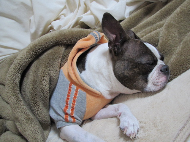 f:id:kokichikawabe:20120321202918j:image