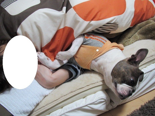 f:id:kokichikawabe:20120321205746j:image