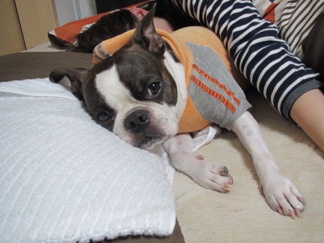 f:id:kokichikawabe:20120321235138j:image