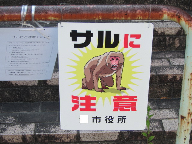 f:id:kokichikawabe:20120523080401j:image