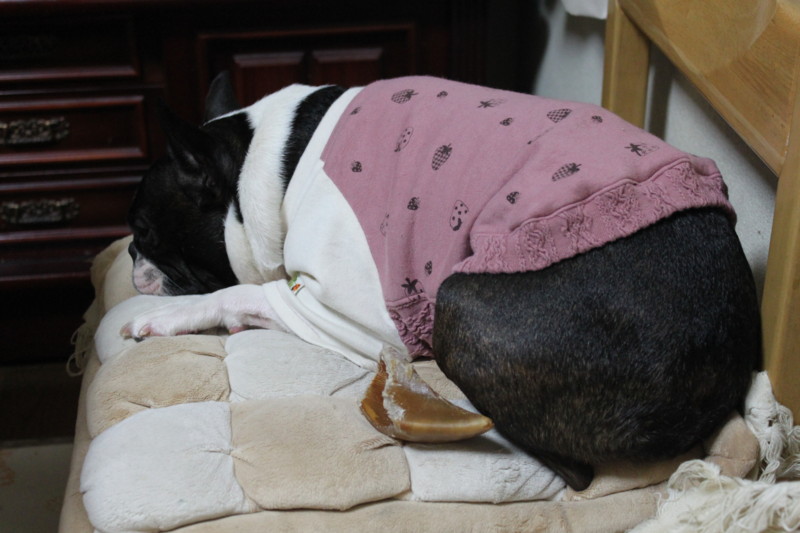 f:id:kokichikawabe:20130228080831j:image